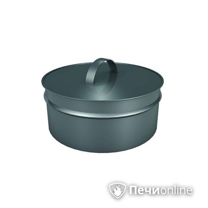 Заглушки Теплов и Сухов Заглушка ревизии Термо-Р 304 0.5 D220(120) в Чайковском