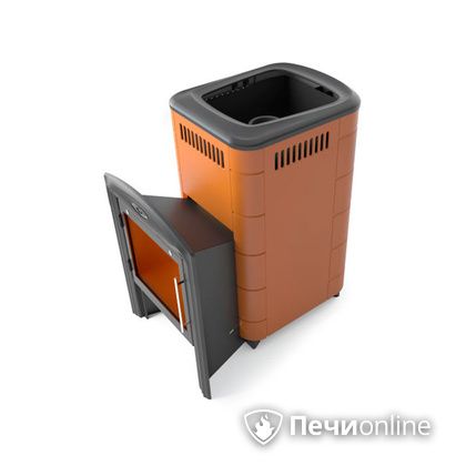 Дровяная печь-каменка TMF Тунгуска Cast Витра терракота в Чайковском