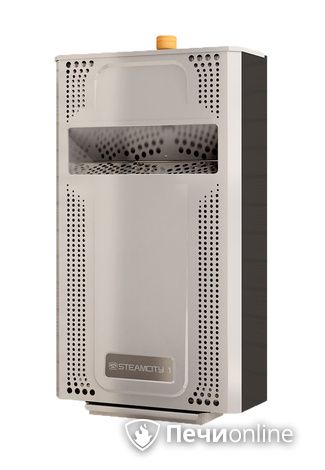 Электрическая печь Теплодар SteamCity-2 в Чайковском