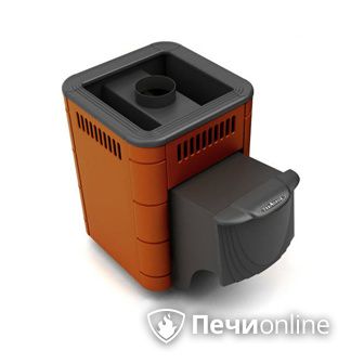 Дровяная банная печь TMF Оса Carbon терракота дверь антрацит в Чайковском