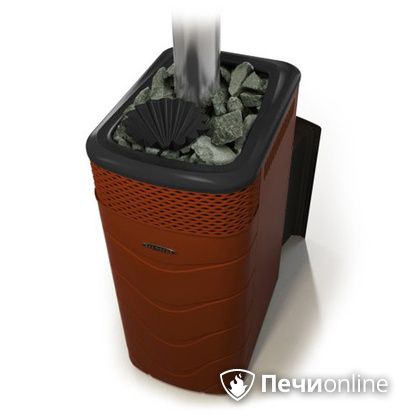Дровяная банная печь TMF Гейзер XXL 2017 Inox Витра закрытая каменка терракота в Чайковском